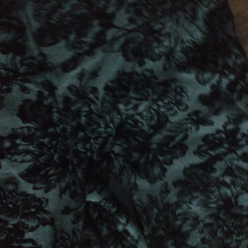 Torrid Velvet Flocked Pixie Pant - image 4